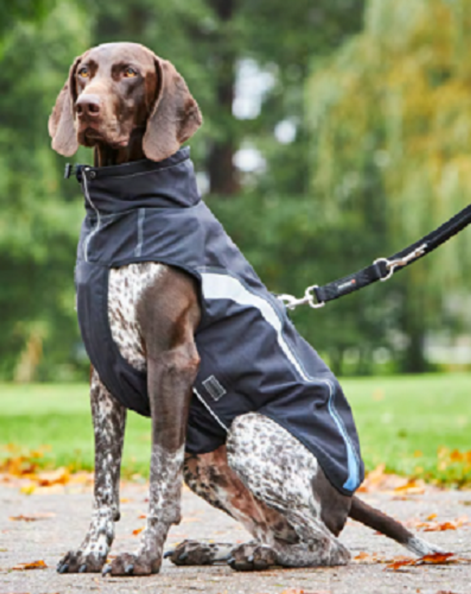 Wolters Xtra Strong Outdoorjacke Für Hunde - Wasserdicht, Winddicht, Neon-grün