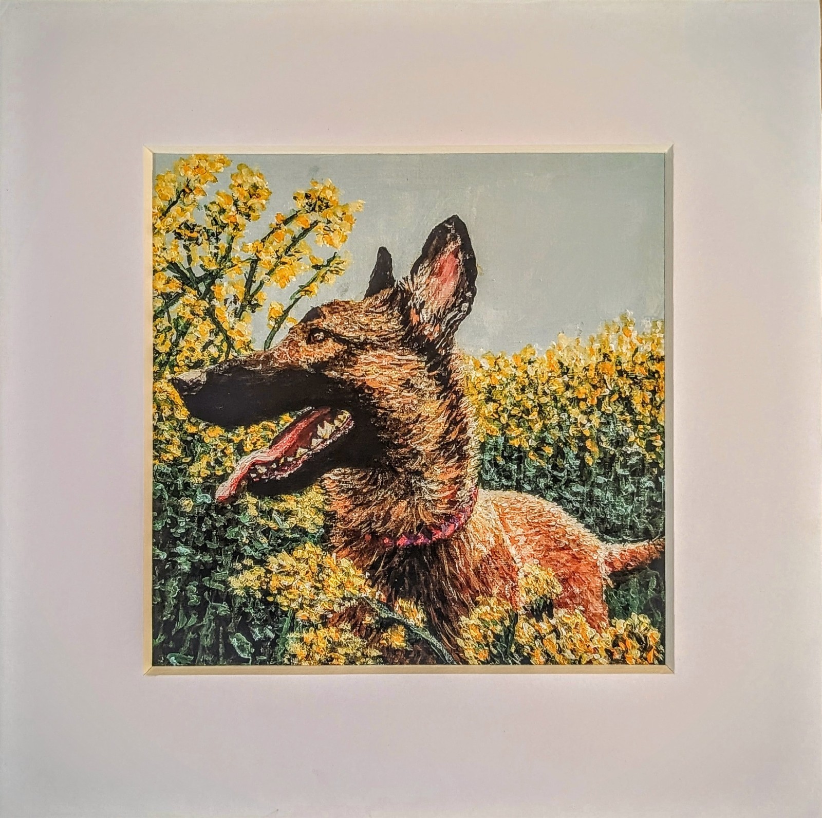 Adorable Belgian Malinois On A Walk Amongst Flowers, Dog Fine Art