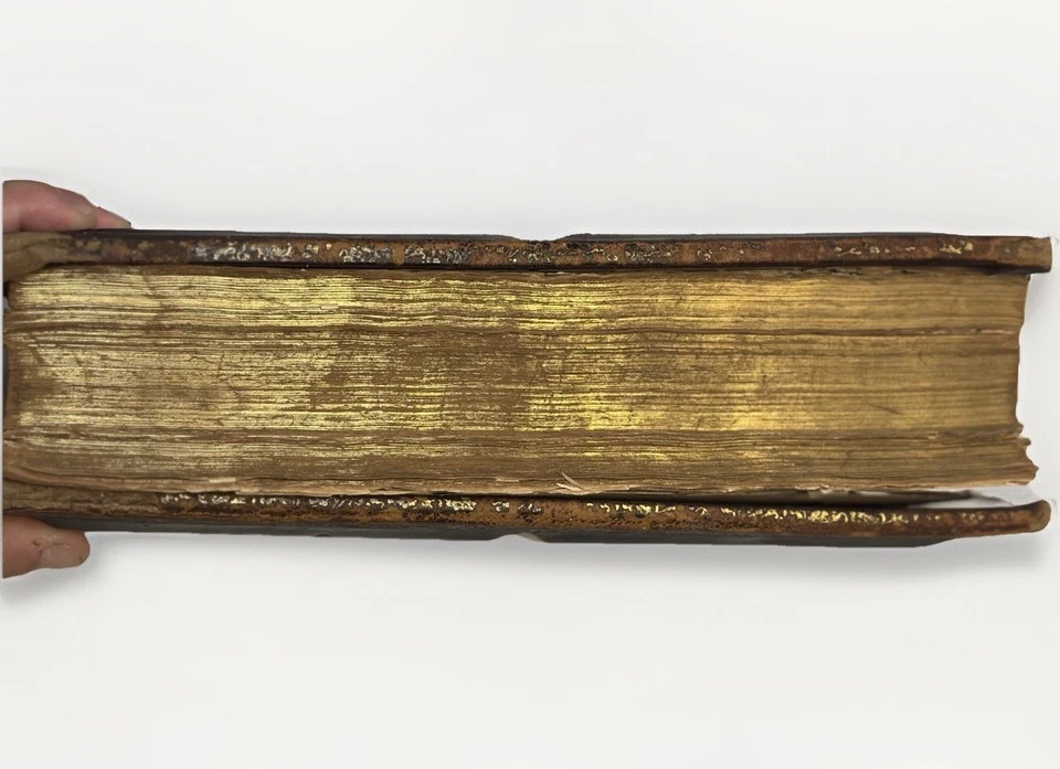 ANTIQUE 1877 VICTORIAN FAMILY BIBLE 1200+ Illustration Midwest Genealogy Records - Image 3 of 4