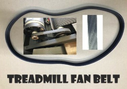 Polyrib Drive Motor Fan Treadmill Belt 7-Rib For Health Stream GS 1195 T Enduran - Foto 1 di 5
