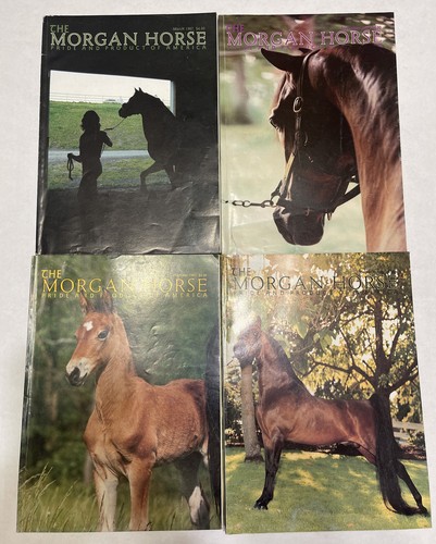 4 Issues- The Morgan Horse Pride & Products of America- 1987- Mar, Sep, Oct, Dec - Bild 1 von 13