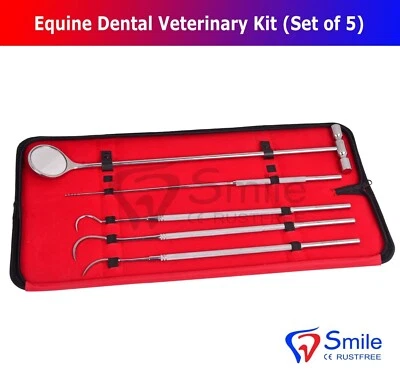 5 pcs Set Equine Dental Mirror Scaler Probe Explorer Veterinary Kit CE Shanzi UK
