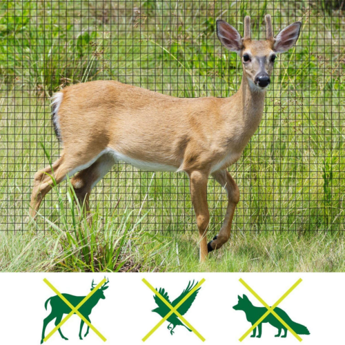 Deer Fence Netting, 7 X 100 Feet Bird Netting anti Bird Deer Protection - Picture 2 of 12
