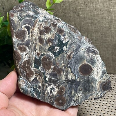 391g Green Flower Cherry Firework Stone rocks - Rare Slab mineral specimen  A6-1