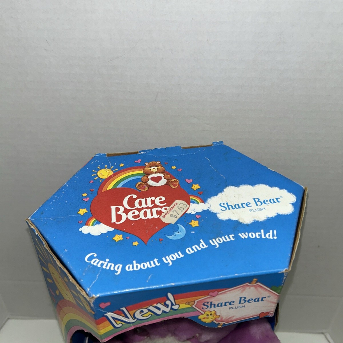 Vintage 1991 Kenner Care Bears - Share Bear Plush Bear | eBay