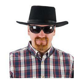 Walter White Ginger Goatee Chin Beard Adult Fancy Dress Halloween