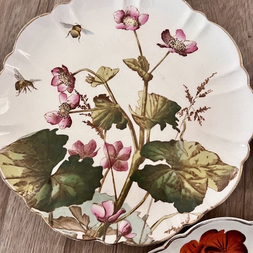 5 PCs 1890s George Jones "Familiar Flowers H.O.J." Flowers Plates Antique RARE - Picture 4 of 9