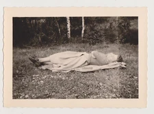 Sleeping Beauty in the Field Peaceful Young Woman Resting Nature Abstract Photo