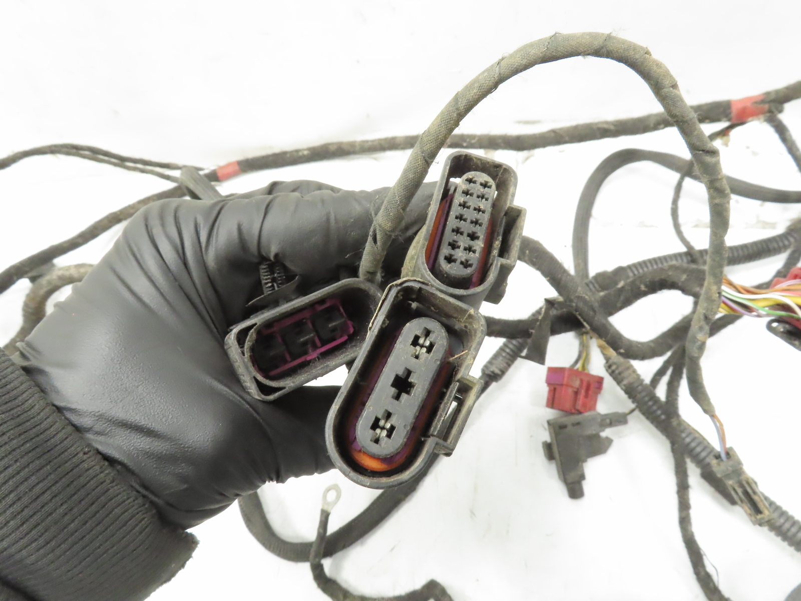 2004 Lamborghini Gallardo Wire, Wiring Main Body Harness & Plug Loom