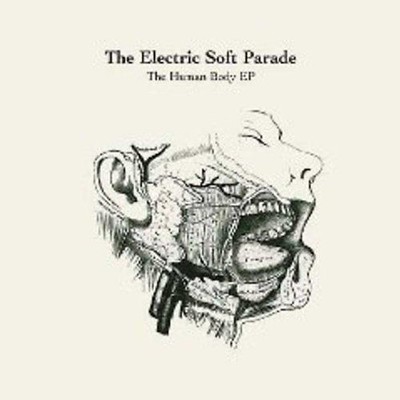the Electric Soft Parade - The Human Body