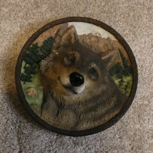 Bradford Exchange Wolf Faces of the Wild Porcelain Collector Plate