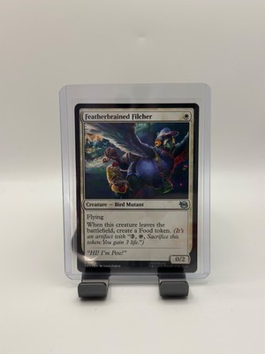 MTG, Featherbrained Filcher $3 ORDER MIN 6 Teenage Mutant Ninja Turtles Regular