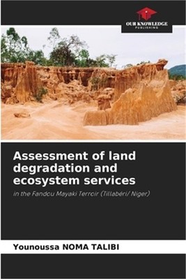 Assessment of land degradation and ecosystem services (Paperback or Softback)