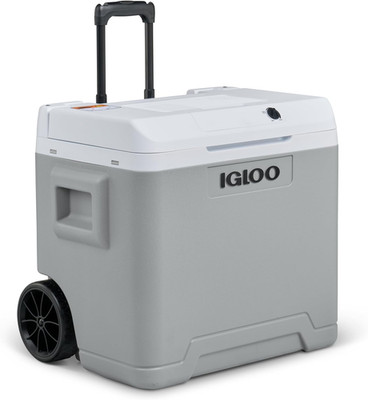 IGLOO IE42 Elektrische Kühlbox, 12V Und 230V, 42L - Kompakter Mini-Kühlschrank F