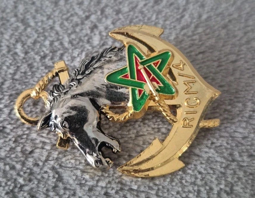 insigne RICM régiment D'infanterie chars de Marine 4 escadron JY Segalen - Photo 3/4