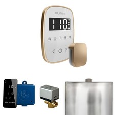 Mr Steam BF Butler Flex Package Steam Shower Control Package - MultiColor