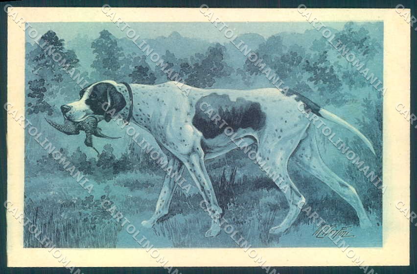 Cartolina Artista Firmata Norfini Puntatore Cecchino Cane da Caccia Serie 60764 3846 VK9566