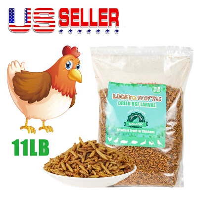 LUCKYQ 11LB Dried Black Soldier Fly Larvae Mealworms for Chicken Birds Treats Premium