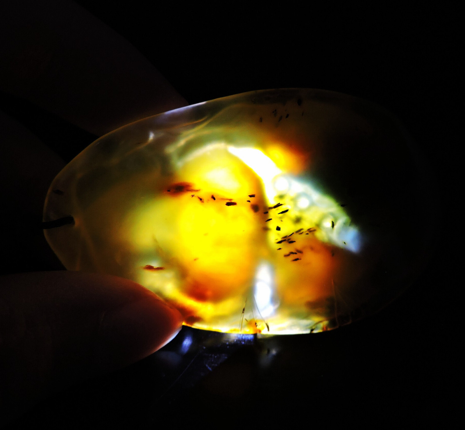 100 Natural Handcarved Jade Pendant Jadeite Necklace fish&gourd&lotus