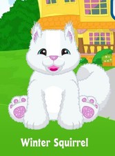 Webkinz Winter Squirrel Virtual PET Adoption Code Only Messaged Webkinz