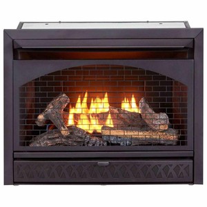 Procom 26 000 Btu Vent Free Dual Fuel Propane And Natural Gas