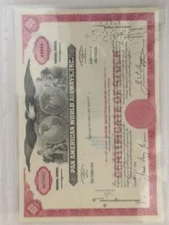 50 Lighthouse 1 Pocket Grande Poly Plastic Pages For Large A4 Documents Storage