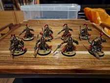 40k Adeptus Custodes Allarus Custodian Miniatures
