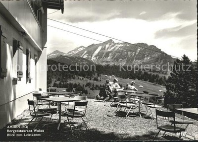 Amden Walensee SG Mountain Restaurant Walau Terrace View to Leistkamm