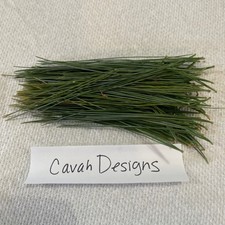 White Pine Tea Needles Organic Infusion Fresh Picked Wild Ohio Grown 6oz