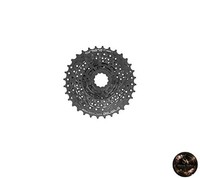 Shimano CS-HG31 8S 11-32T 13581482 ECSHG318132