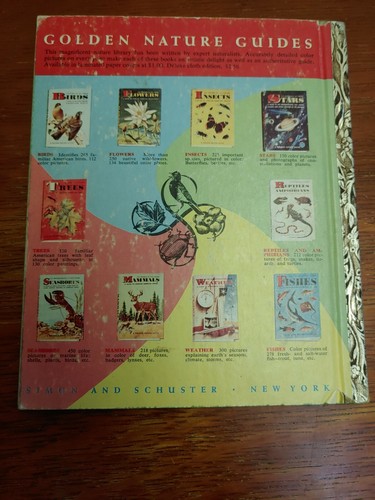 Walt Disney's Scamp's Adventure, A Little Golden Book, A print 1958 - Imagen 8 de 8