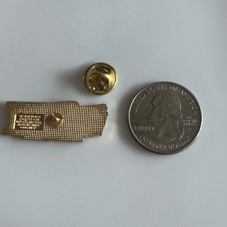 IROC at INDY August 13, 2002 Pin – True Value Racing Collectible - Image 3 of 3