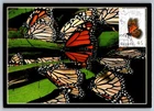 Canada 1995 Monarch Butterfly FDC Maxi Card