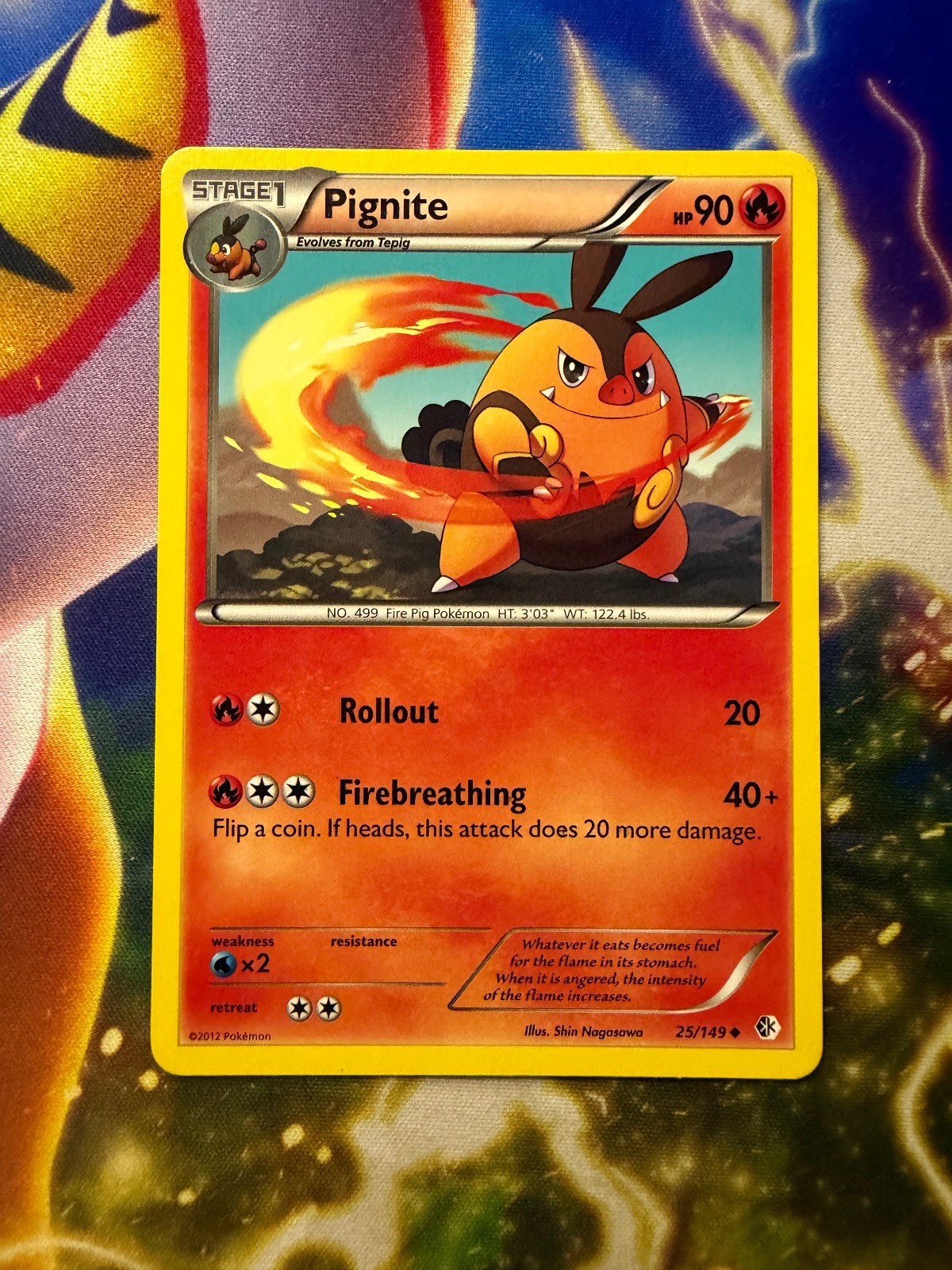 PIGNITE 25/149 BOUNDARIES CROSSED Uncommon Pokemon