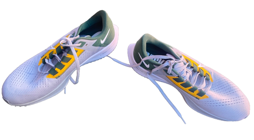 Size 12 - Nike NFL x Air Zoom Pegasus 38 Green Bay Packers - Picture 8 of 9