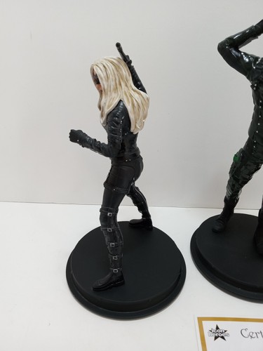 LOT OF 2 DC CW GREEN ARROW S. AMELL STATUES ICON HEROES SEASON 5 + BLACK CANARY - Picture 4 of 22