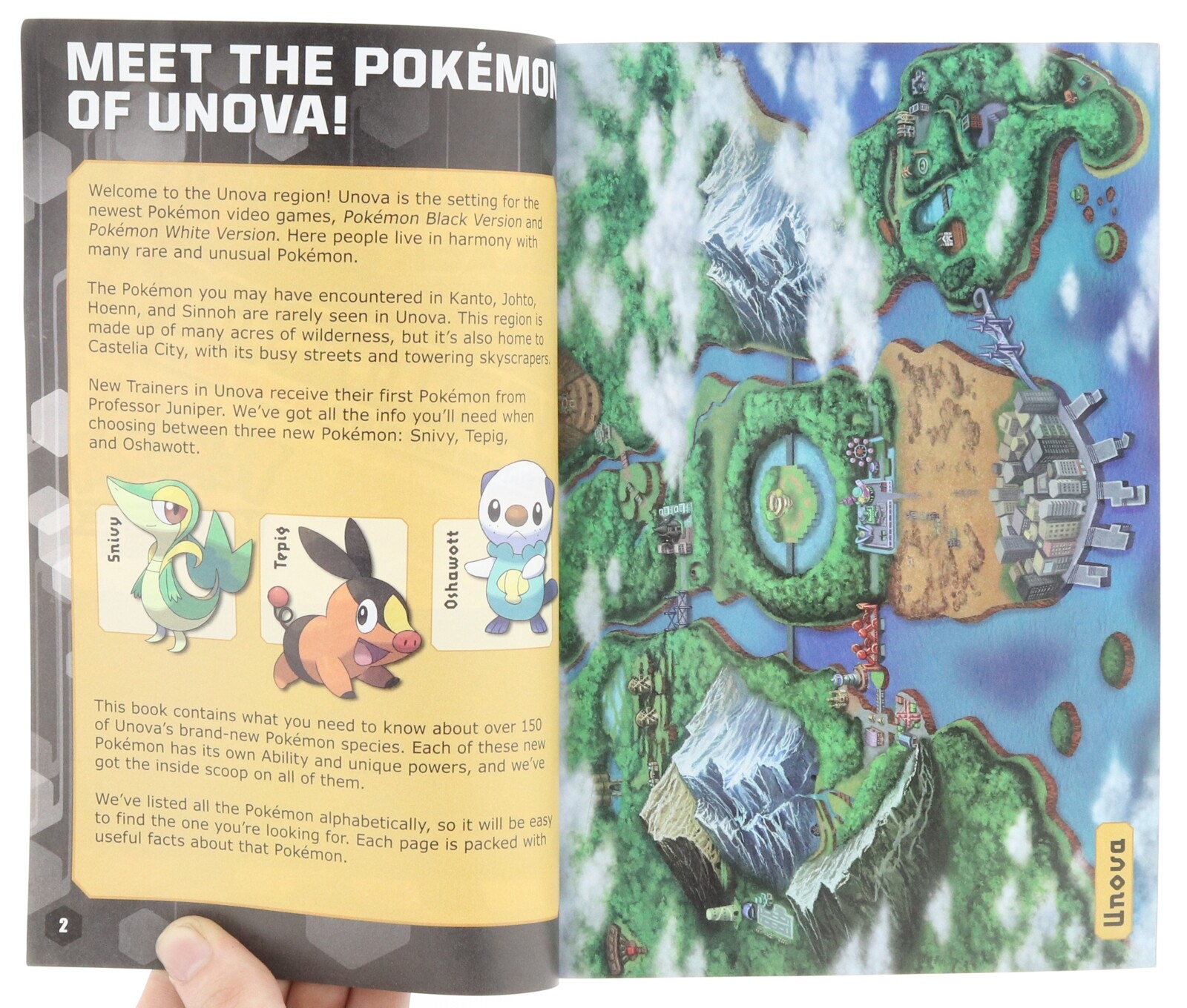 Pokémon Black Version and Pokémon White Version Handbook - Bulbapedia, the  community-driven Pokémon encyclopedia