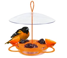 OFP1 All-In-One Oriole Buffet Bird Feeder, Orange
