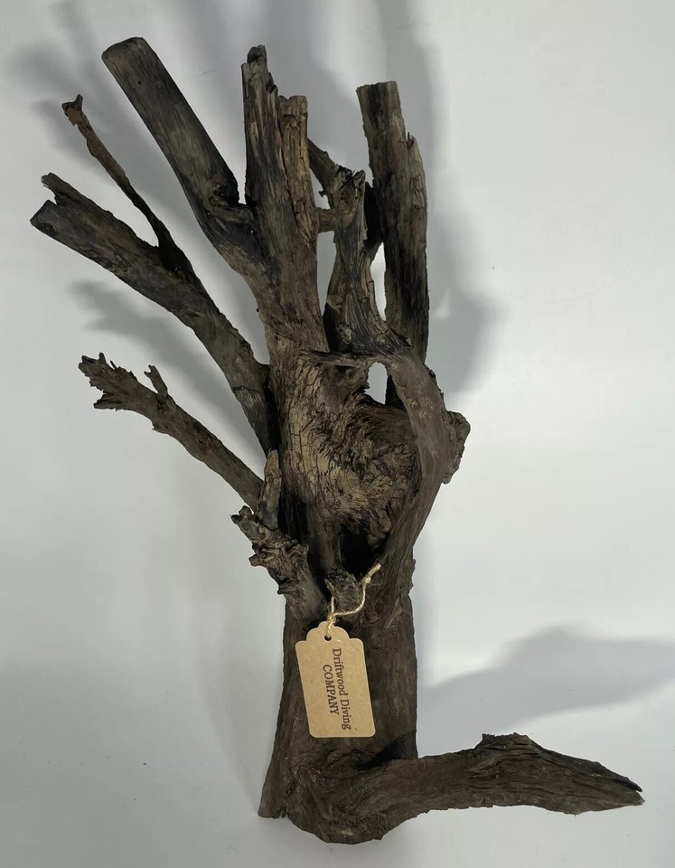 26x21x12” Dark Driftwood Root Natural Aquarium Plant Art Unique
