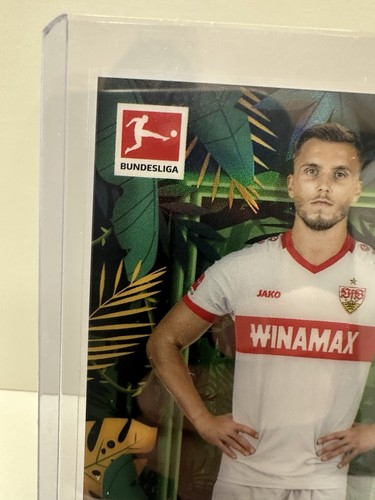 2024-25 Topps Chrome Bundesliga Ermedin Demirovic Wild Jungle SP - Bild 3 von 7