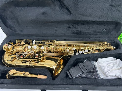 #ad New Product Standard Alto Drop E Saxophone in Golden Suitable for All Skill Le $318.50
