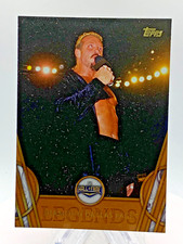 2018 Topps WWE Legends Diamond  Dallas Page #13