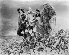 Wizard of Oz [Judy Garland/Ray Bolger/Bert Lahr] 10"x8" Unsigned Photo 79390