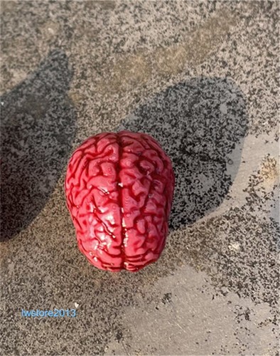 mini oggetti di scena modello cervello accessori per action figure soldato 12" prop - Foto 3 di 6