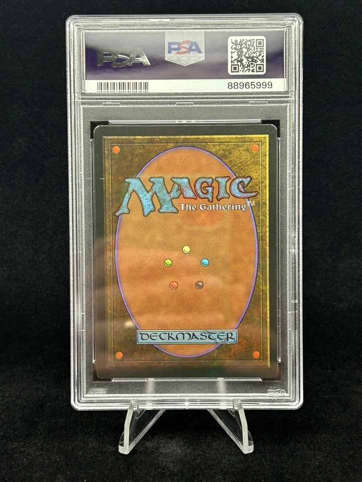 HAVENWOOD BATTLEGROUND Fallen Empires 1994 Magic The Gathering MTG PSA 8 NM-MT - Image 2 of 4