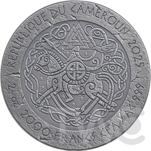 Harald Fairhair The Way to Valhalla 2 oz moneta d'argento CFA Camerun 2025 - Foto 6 di 8