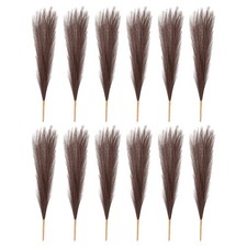 K&uuml;nstliches Pampasgras, 43,2 cm, Boho-Dekor, Dunkelbraun, 12 St&uuml;ck