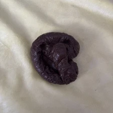 funny fake poop prank item for your friends