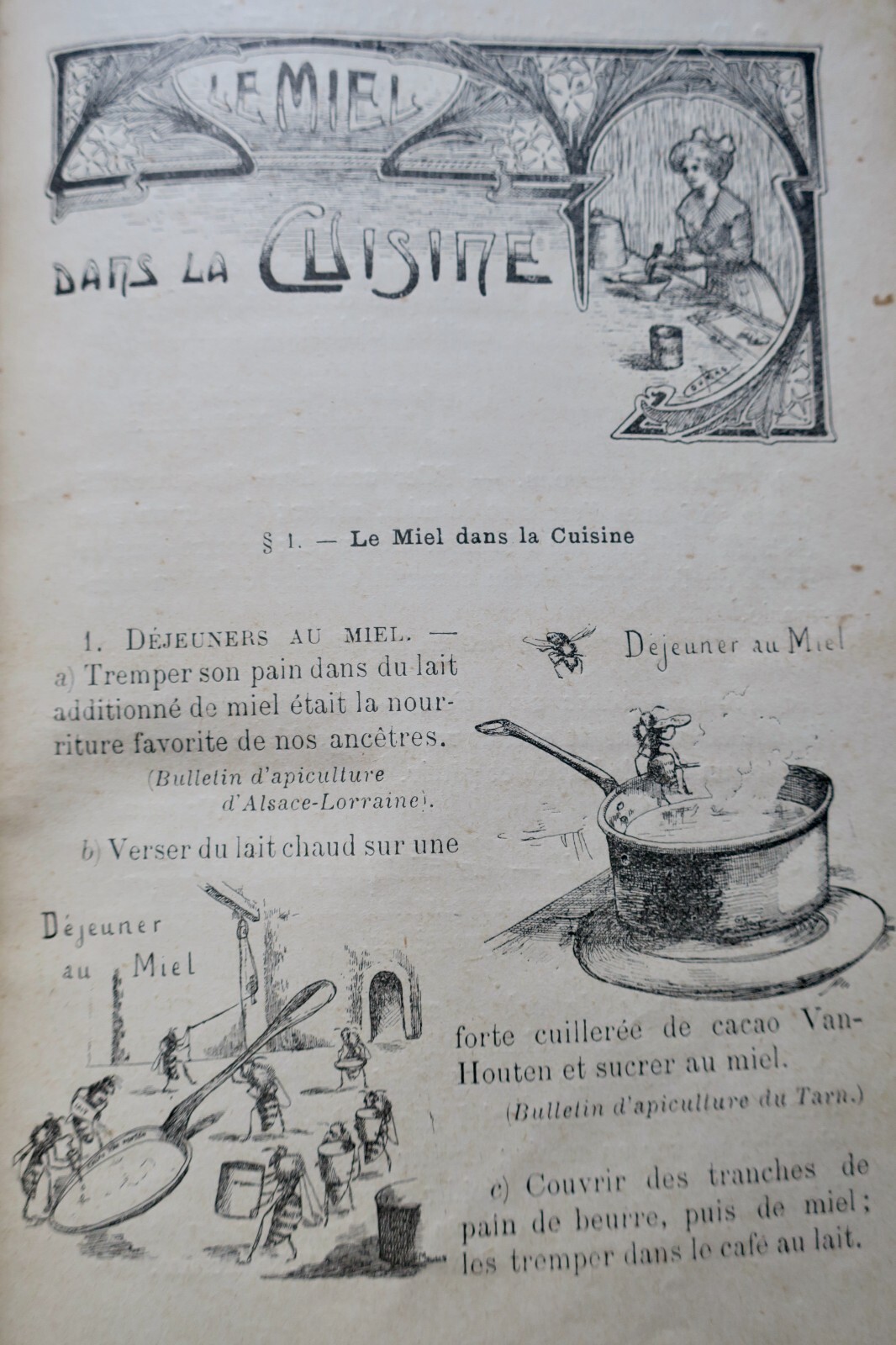 Miel El Miel Sus Usos Y Sus Propiedades 1912