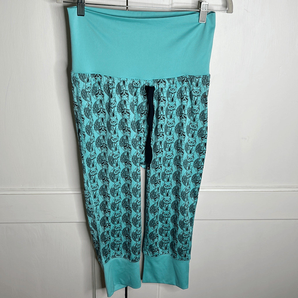 The Northface Fox Cropped Drawstring Joggers Teal… - image 1